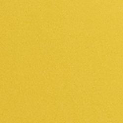 Bright Yellow