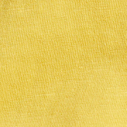 Canary Yellow