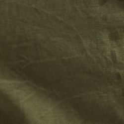 Patched Olive