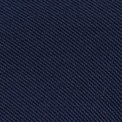 Cruise Navy