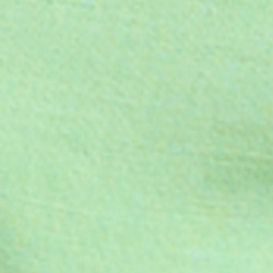 Pastel Mint