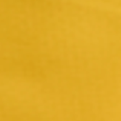 Yellow/White/Black