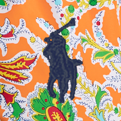 Shorewood Paisley Orange