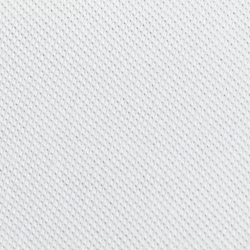 White Paint Bear