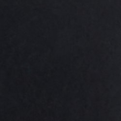 Polo Black