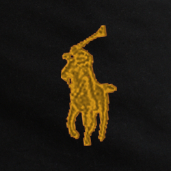 Polo Black