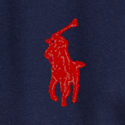 Cruise Navy