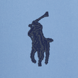 Polo Black