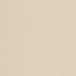 Fawn