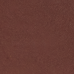 Dark Maple