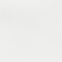 Snow White/Refined Navy