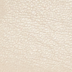 Explorer Sand