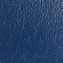 Indigo Sail