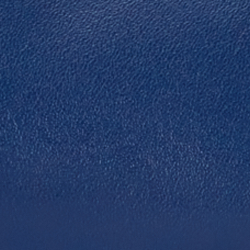 Indigo Sail