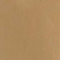 Birch Tan