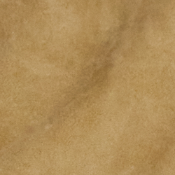 Birch Tan