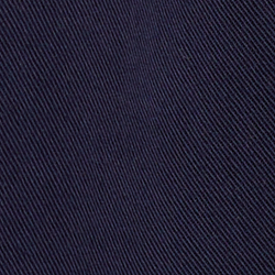 Cruise Navy