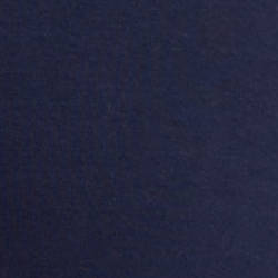 Cruise Navy