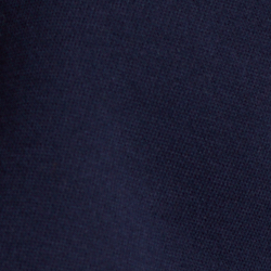 Cruise Navy