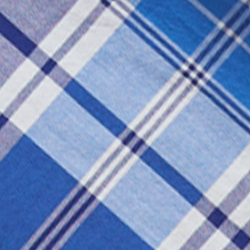 Blue Mutli Plaid