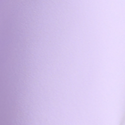 Flower Purple