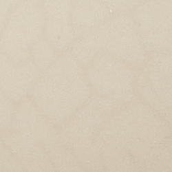 Cream/Navy
