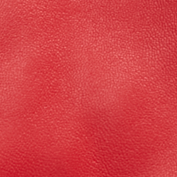 Martin Red