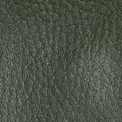 Season Green