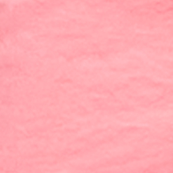 Flamingo Plume
