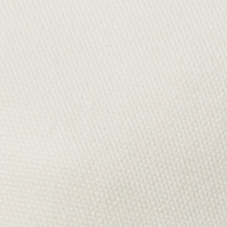 Optic White