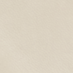 Explorer Sand