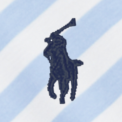 Polo Black Multi
