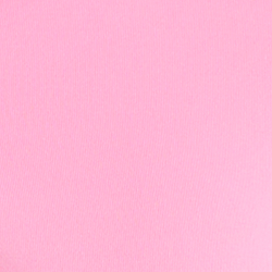 Pink Flamingo