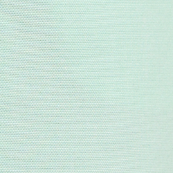 Pastel Mint