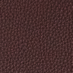 Dark Luggage Brown