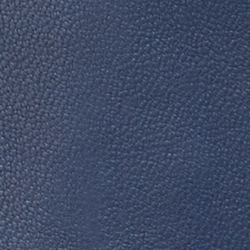 Refined Navy