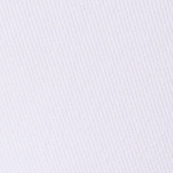 화이트 베어