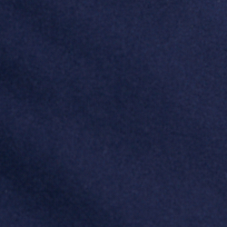 Refined Navy