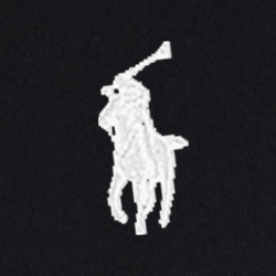 Polo Black Multi