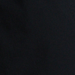 폴로 블랙