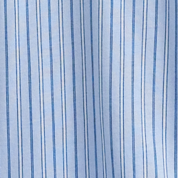 Blue Stripe