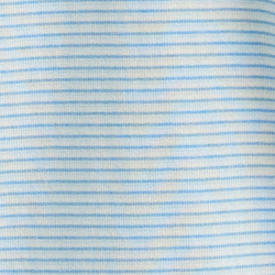 Blue Stripe