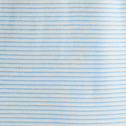 Blue Stripe