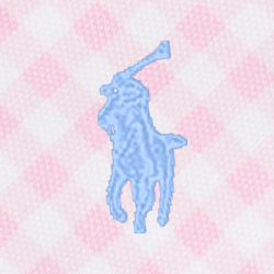 Gingham Pink W/ Blue