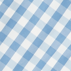 Blue Gingham