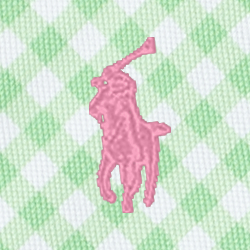Gingham Lime W Pink