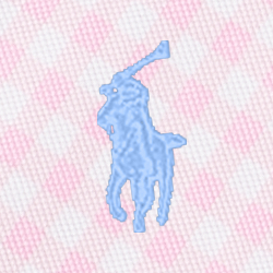 Carmel Pink Gingham