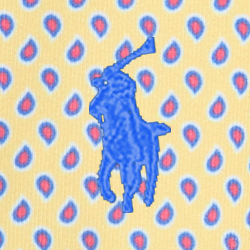 Paisley