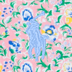 Beneda Floral
