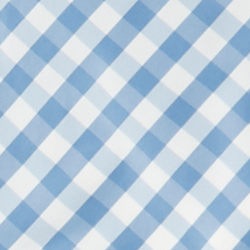 Blue Gingham